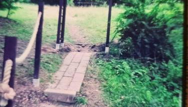 Abenteuerurlaub im Tannenwald - Photo 3