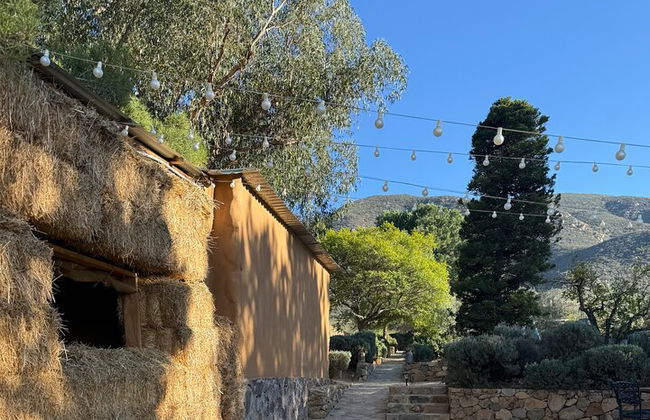 Private Deluxe Wine Tour to Valle de Guadalupe by Luxury Vehicle - Photo 29