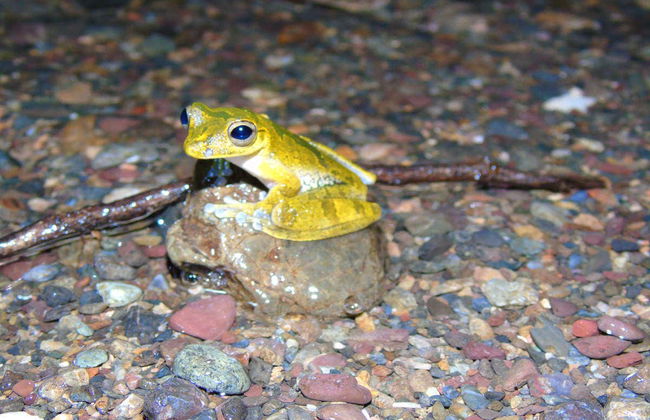 Randonnée de nuit dans le domaine de Rio Agujitas - Photo 3