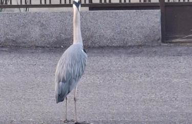 GAG Apartment in TRAM zone with FREE PARKING in front of the house - Photo 54