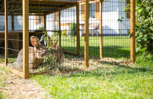 Pichlerhof - Foto 13