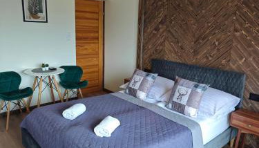 Pokoje Gościnne i Apartament Górski Widok - Foto 4