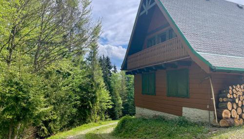 Baranówka - Foto 4, Garden