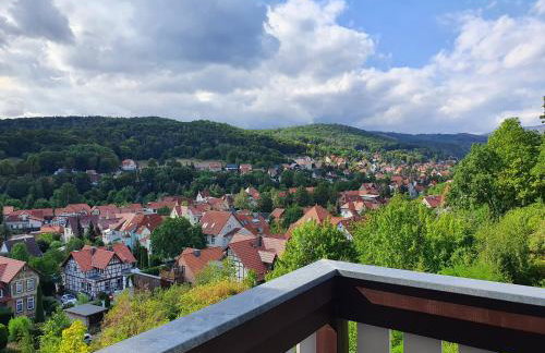 Apartments Villa-Ratskopf Wernigerode - Photo 97