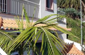 Casa Shalom - Foto 40