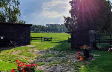 Ośrodek Wypoczynkowo Sportowy Pod Żurawiem - Foto 10