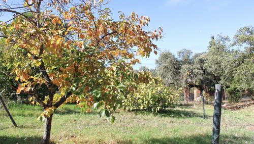 Casa Rural El Membrillo by SIERRA VIVA - Foto 4, Garden, Garden view