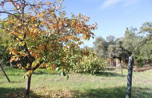 Casa Rural El Membrillo by SIERRA VIVA - Foto 4