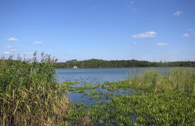 Holiday Home by Lake Wilkasy With Rowboat - Foto 37