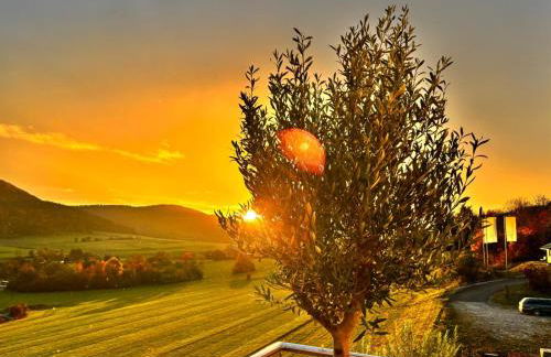 Panoramablick mit Premium-Wanderwegen vor der Haustür - Foto 30