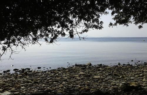 Koutadelias rooms - Foto 35