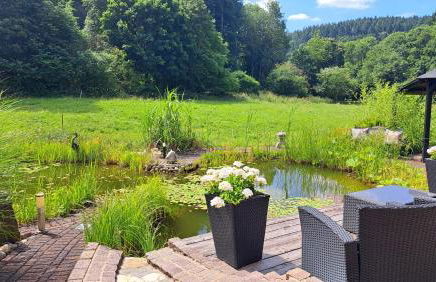 OREA Ferien-Appartment nähe Nürburging Rhein Ahr Eifel--- NEU NEW RENOVIERT - Foto 6