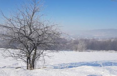 Dom Grabowa z sauną , podgrzewanym basenem i balią z hydromasażem - Foto 37
