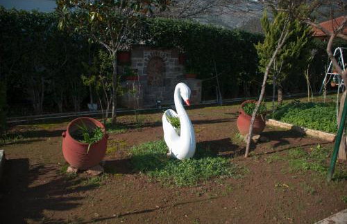 Four Seasons - Foto 56