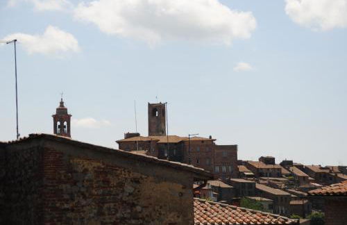 Il gelsomino del Perugino - Photo 65