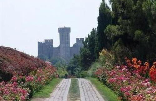 Apartment FeWo C-36 by Interhome - Foto 48