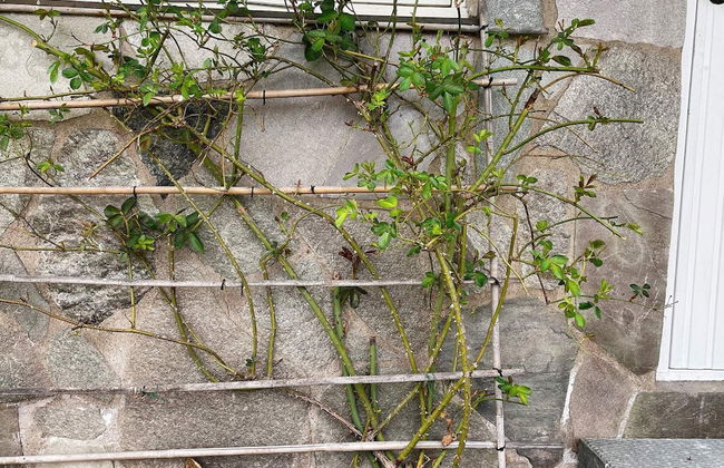 7 Person Holiday Home in Klassbol - Foto 33