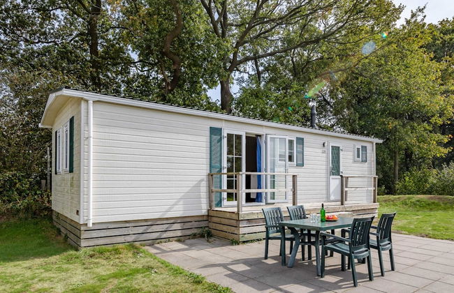 Nature Stay in Hunzedal - Photo 22