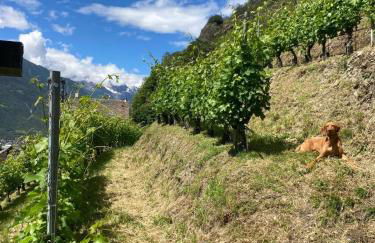 Casa Vanda - Photo 10