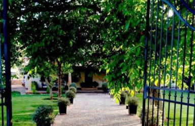 La Noguera, Lagunas de Ruidera - Foto 20