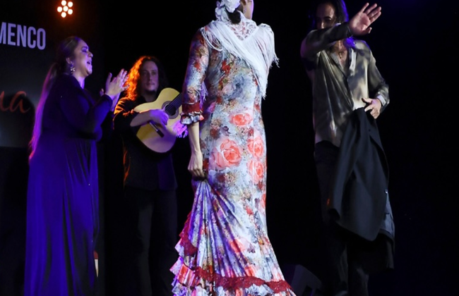 Discover Palma’s unique Flamenco experience at Tablao Flamenco Alma - Foto 6