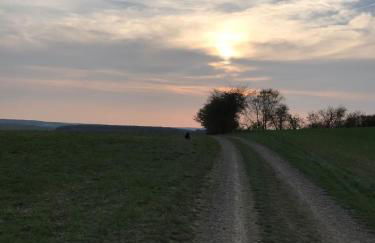 Ferienhaus Hassgautor - Foto 63