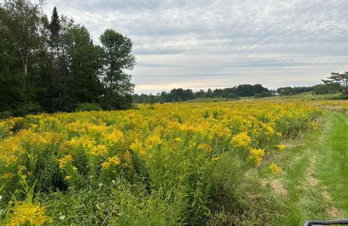 Real Sanchos Duplex - Foto 8