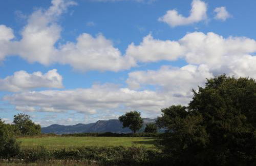 The Stables - Photo 39