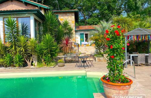 Art-Villa Merkel - 28 pers - 11 chambr - 10 WC - Piscine - Foto 56