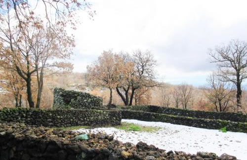 Boscoscuro - Foto 38