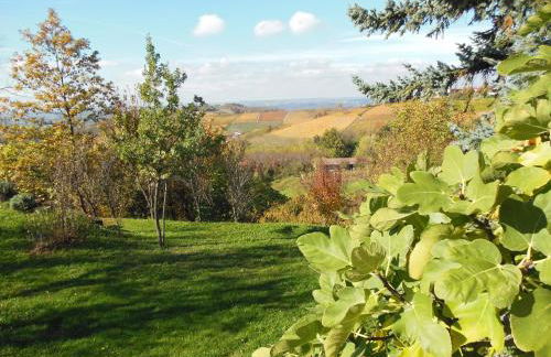 Agriturismo Affittacamere Barbarossa - Foto 53