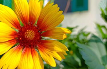 La Casa del Sole - Foto 18