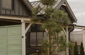 Domki Lawendowy Zakątek - Foto 16