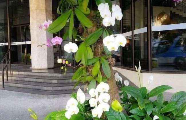 Flat Maravilhoso - Foto 37