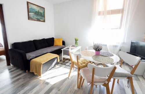 Apartamenty pod Kicarzem - Foto 74