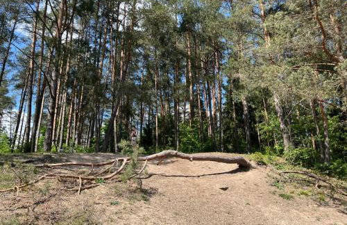 Domek wypoczynkowy Letnisko Sosenkowo - Foto 66