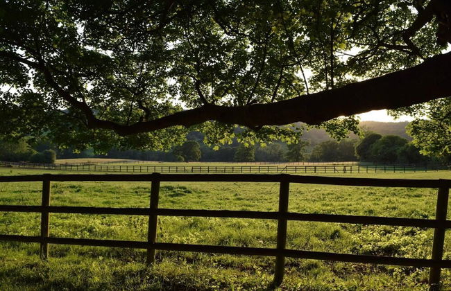 Shephards Hut With Hot Tub in the Cotswolds - Foto 13