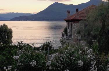 Soile Georgia - Photo 19