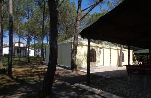 Agriturismo San Giuseppe - Foto 22