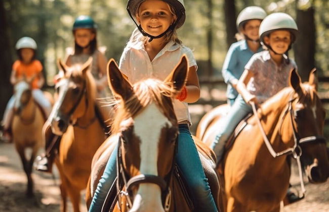 agroturystyka Kurnik Polski - Foto 1
