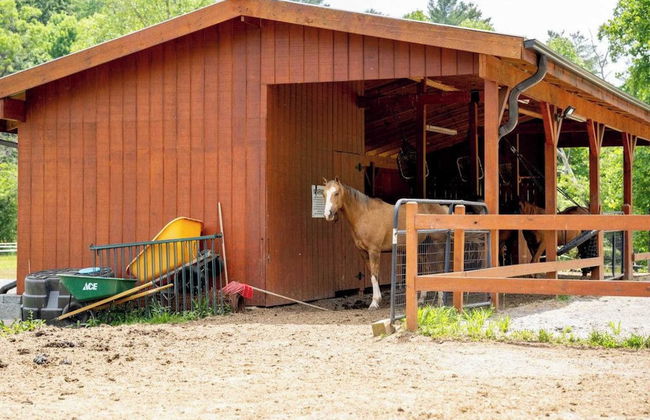 Fairview Vista by Avantstay 10 Mins to Asheville - Foto 43