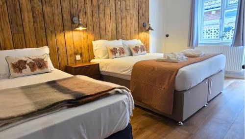 The Distinguished Squirrel - Room 4 - New Forest - Foto 5