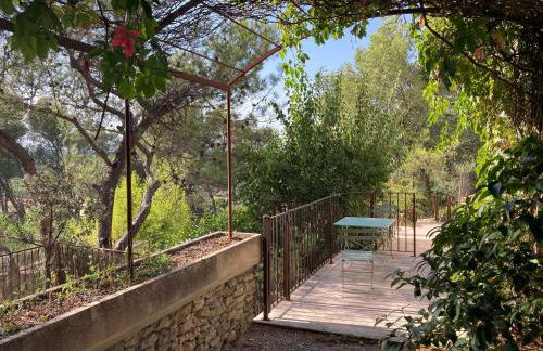 Le gîte sous les pins - Photo 2