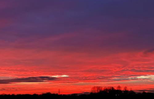 Briary Cottages at Iletts Farm - Photo 33