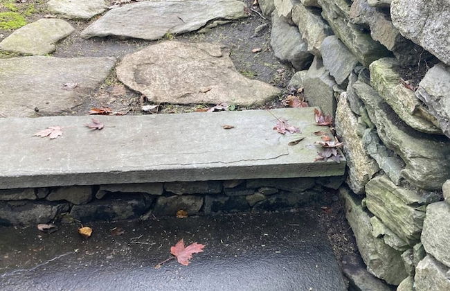 Rockmere Inn - Foto 54