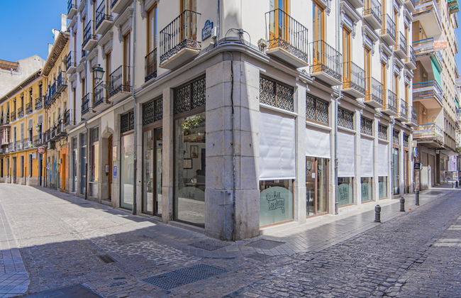 Mosaiko Homes Catedral Granada - Foto 65