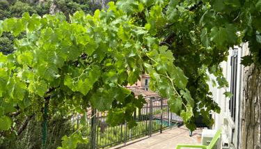 casa monte maggio - Foto 3