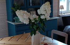 Osada California - Foto 34