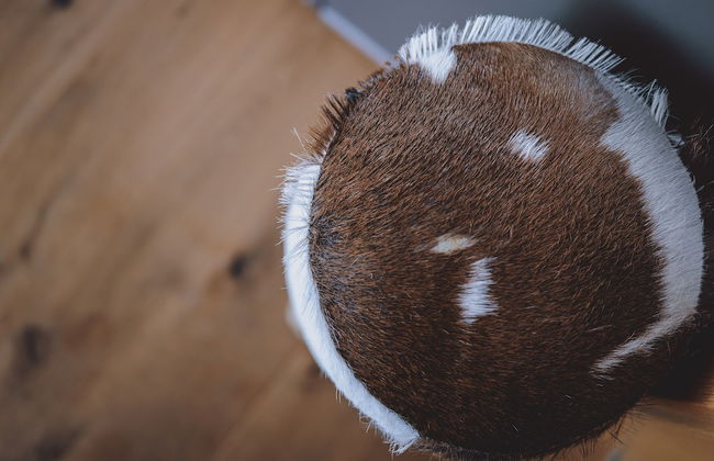 Appartements Sulzer by we rent - Foto 39