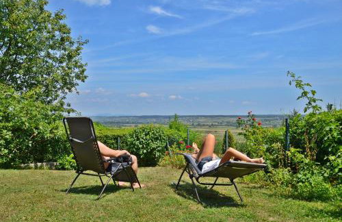 Green Zelina - Foto 1